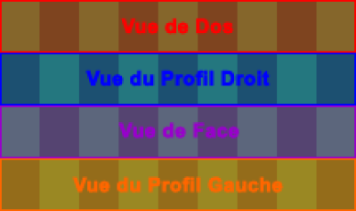 Les quatres vues d'une skin